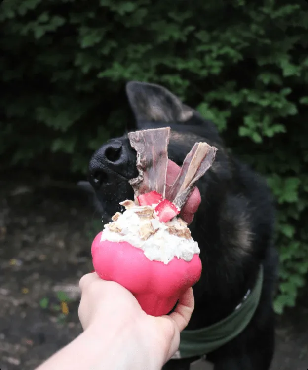 SodaPup Cupcake eDispenser tuggleksak gummi large