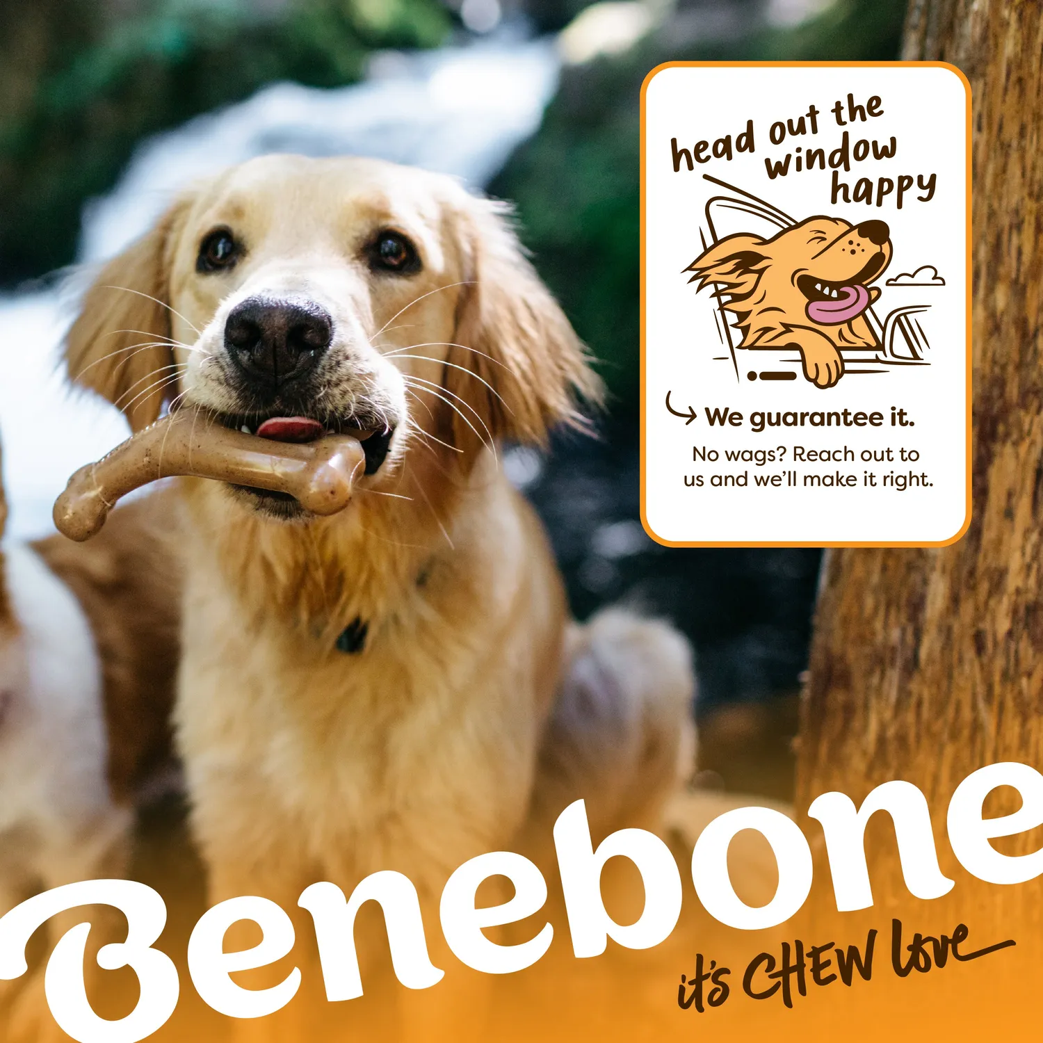 Benebone Venison Wishbone tuggben hjort