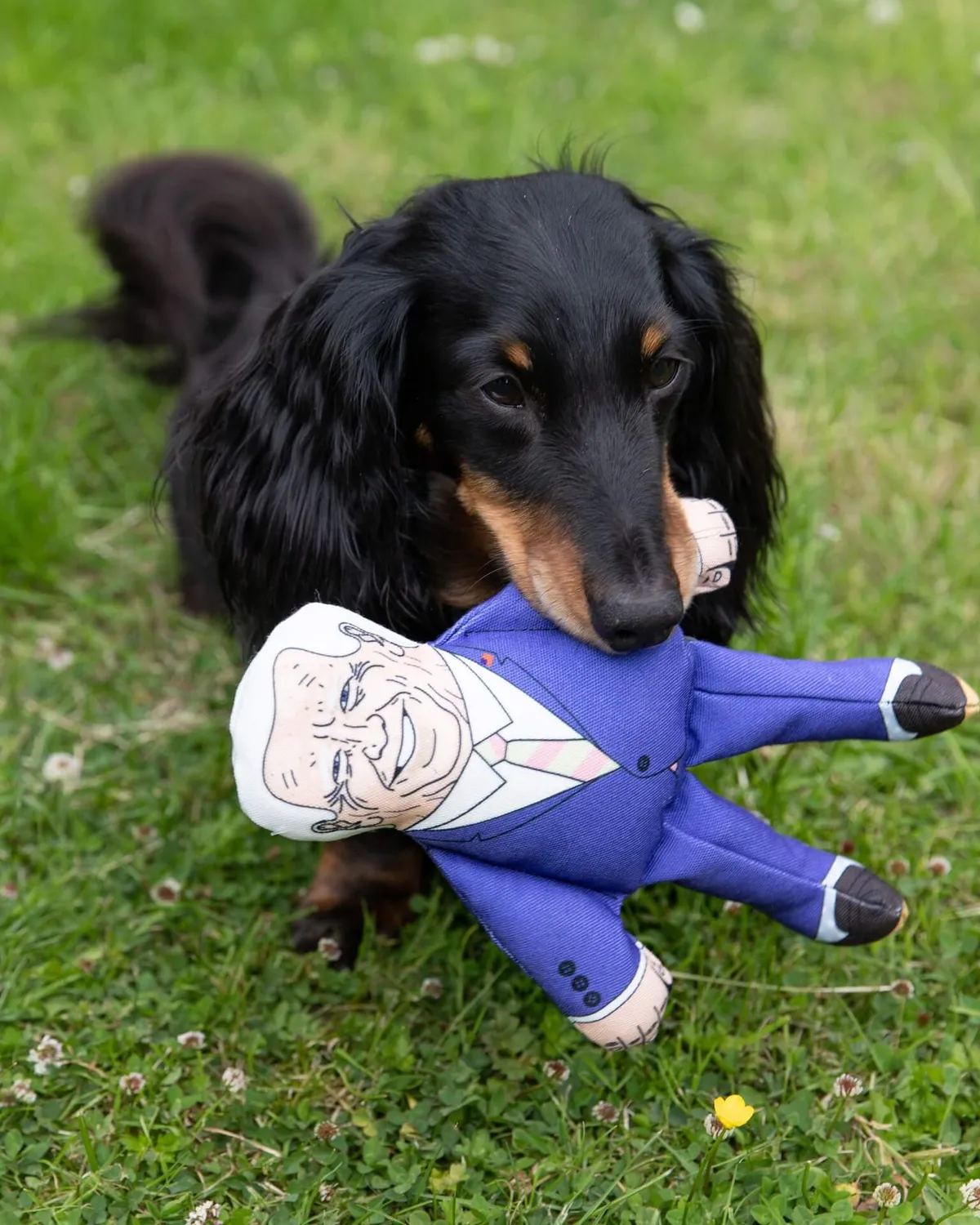 Pet Hates Toys Joe Biden hundleksak regular med pip