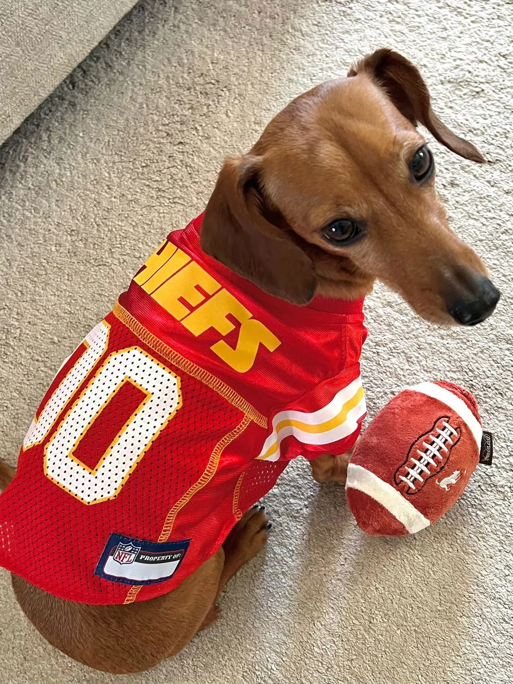 P.L.A.Y. Back to School Fido's Football hundleksak pip