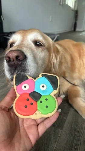 Spunky Pup Frosted Cookies hundkex pizza jordnötssmör