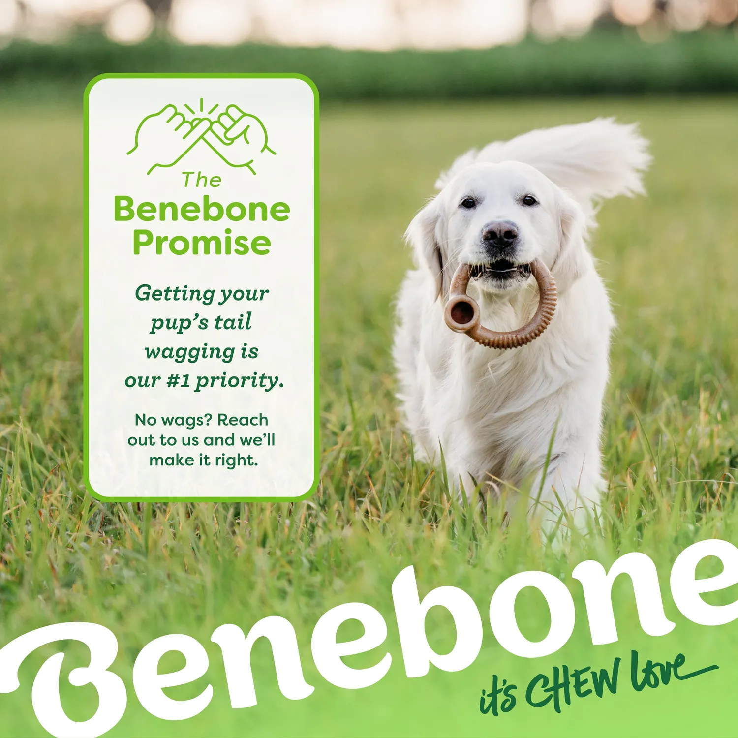 Benebone Ring tuggben bacon för jordnötssmör