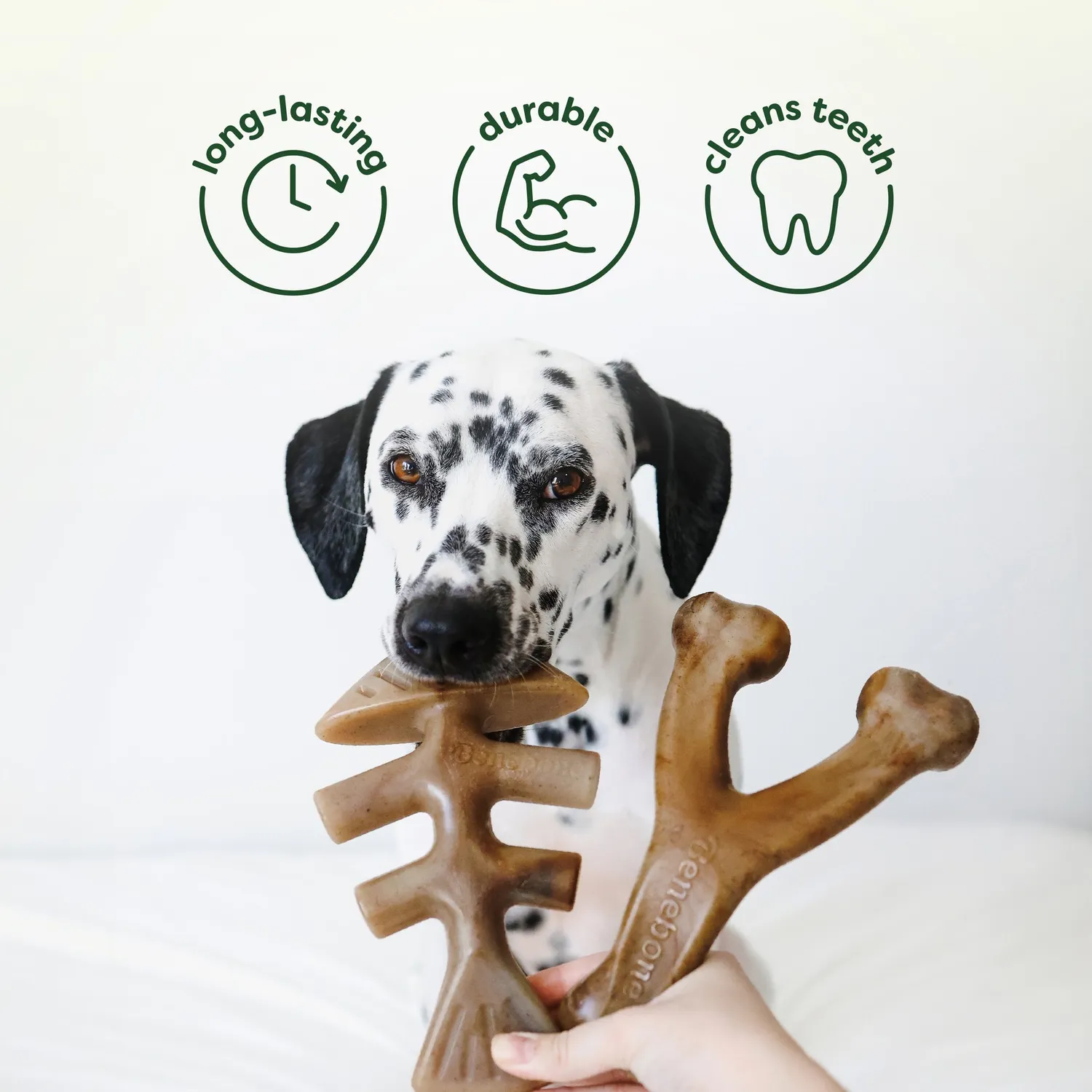 Benebone Chew & Chase Collection tuggleksak Medium 4-pack nylon