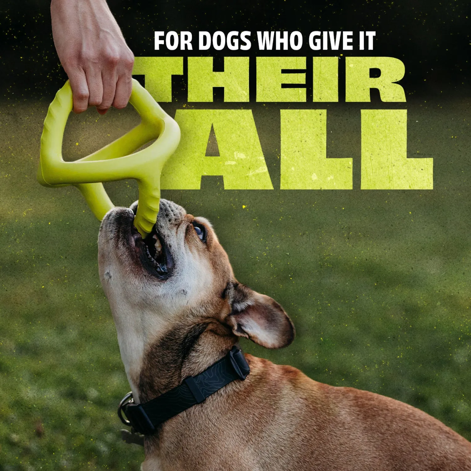 Benebone Chew Tug Duo leksaksset medium bacon