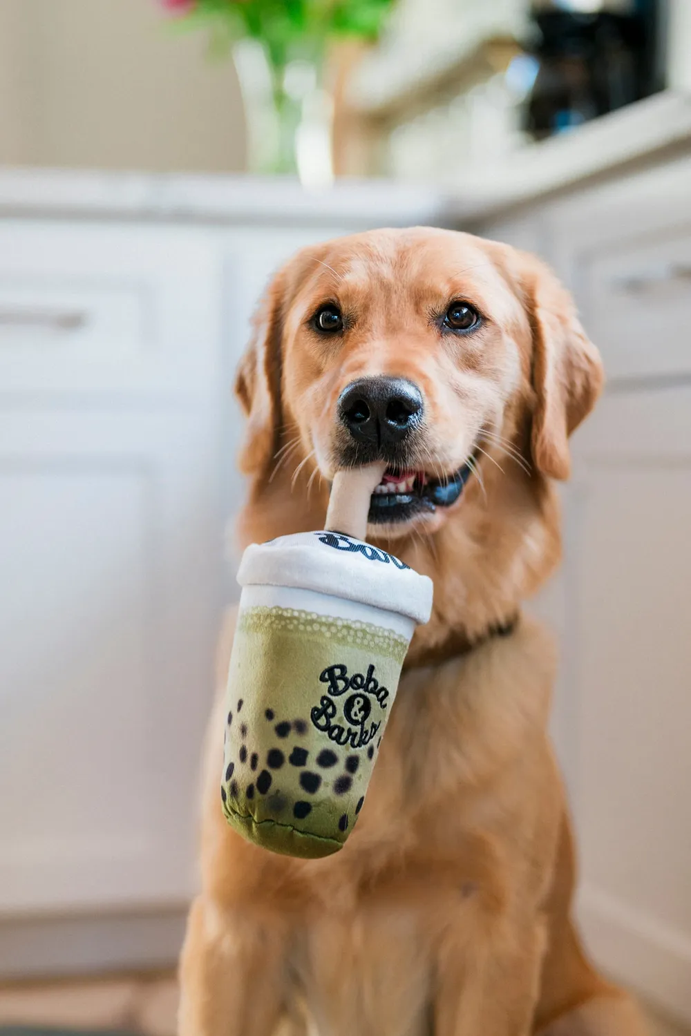P.L.A.Y. Matcha Boba plyschleksak grön prassel