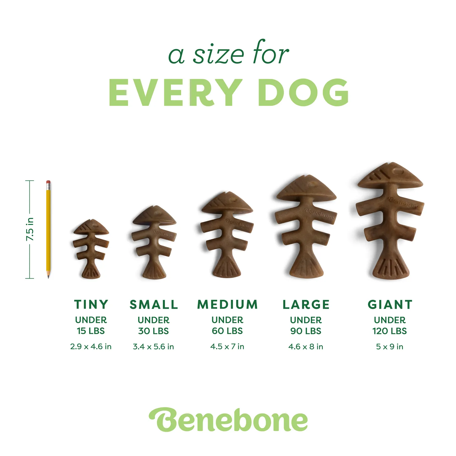 Benebone Fishbone tuggben Medium lax nylon