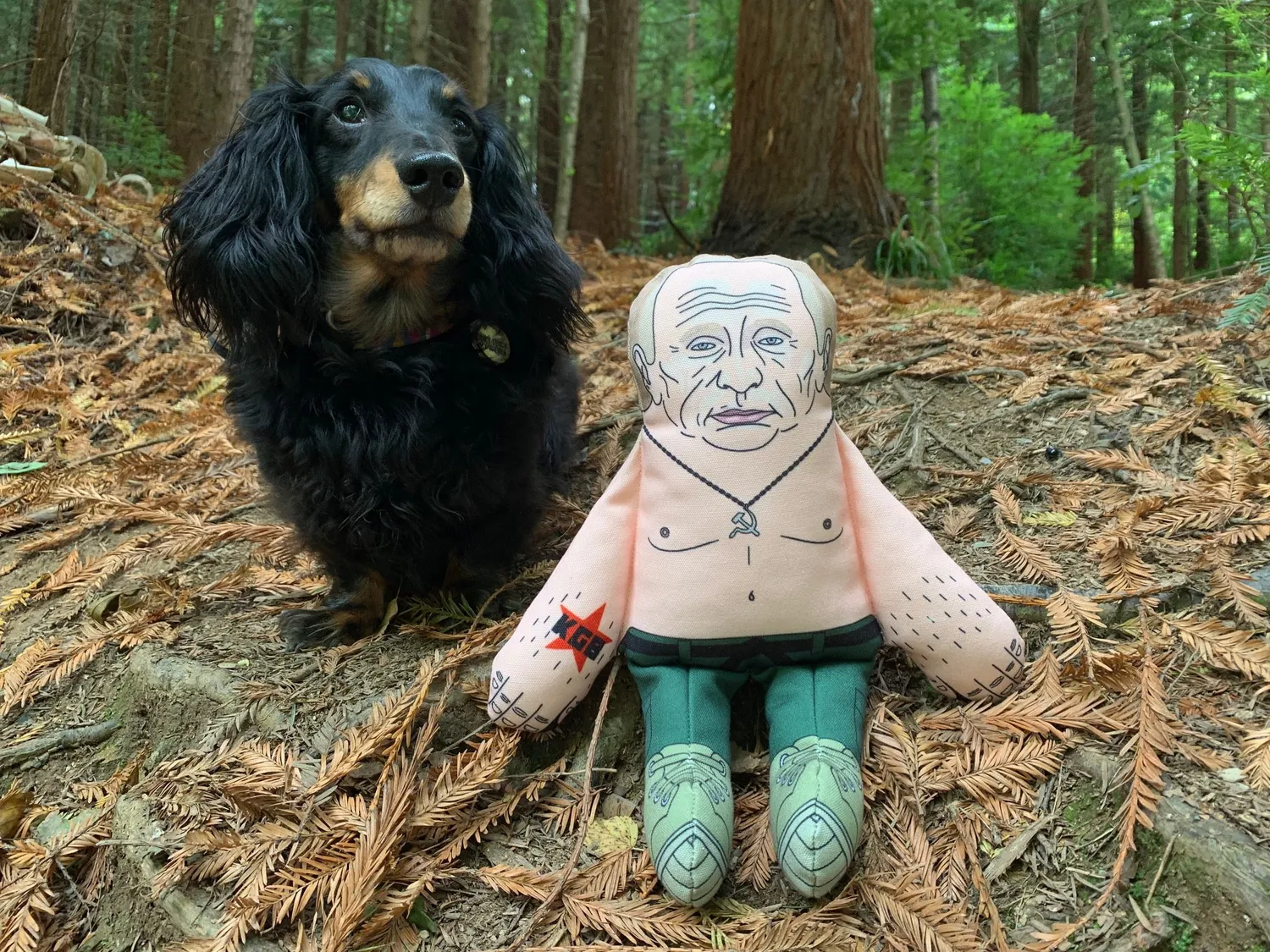 Pet Hates Toys Putin hundleksak med pip Regular