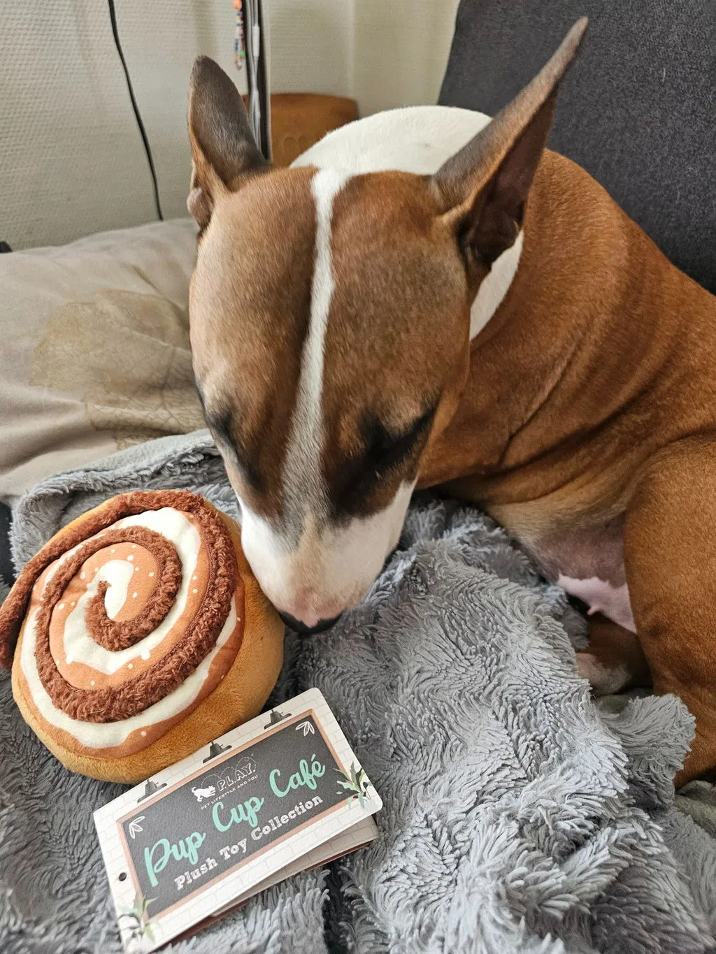 P.L.A.Y. Pup Cup Café Doggo's Java hundleksak med pip