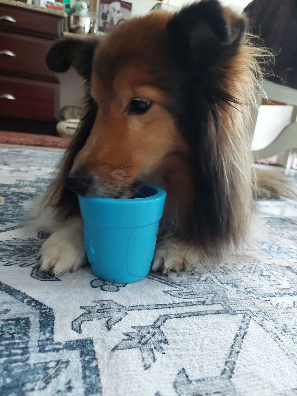 SodaPup Flower Pot Large eCup hundleksak grön flytande