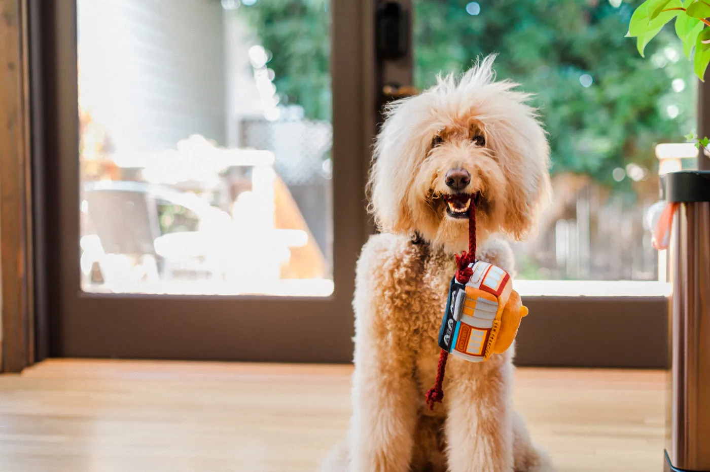 P.L.A.Y. Canine Commute San Pup-cisco Cable Car hundleksak pip