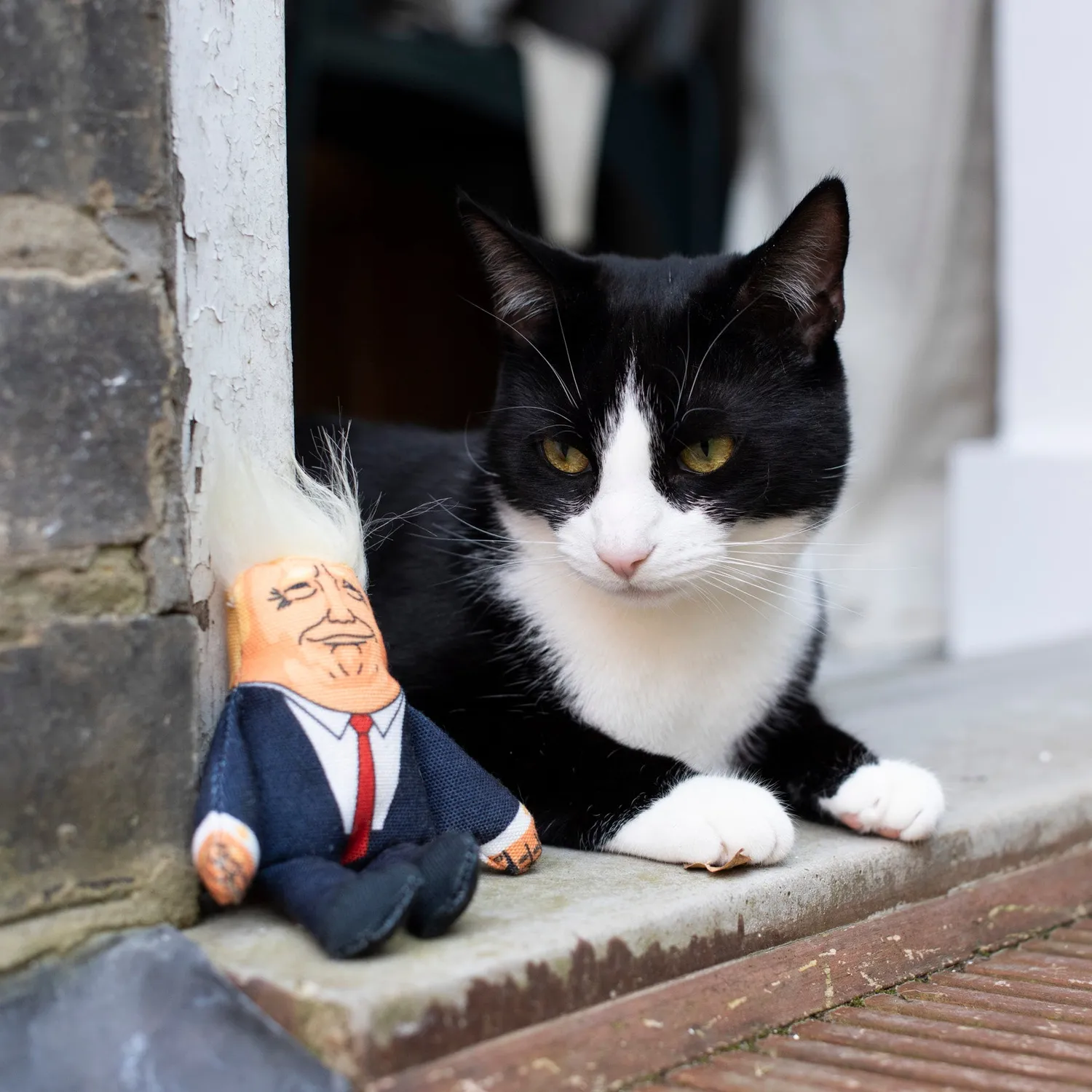 Pet Hates Toys Boris Donald leksaksset pip kattmynta