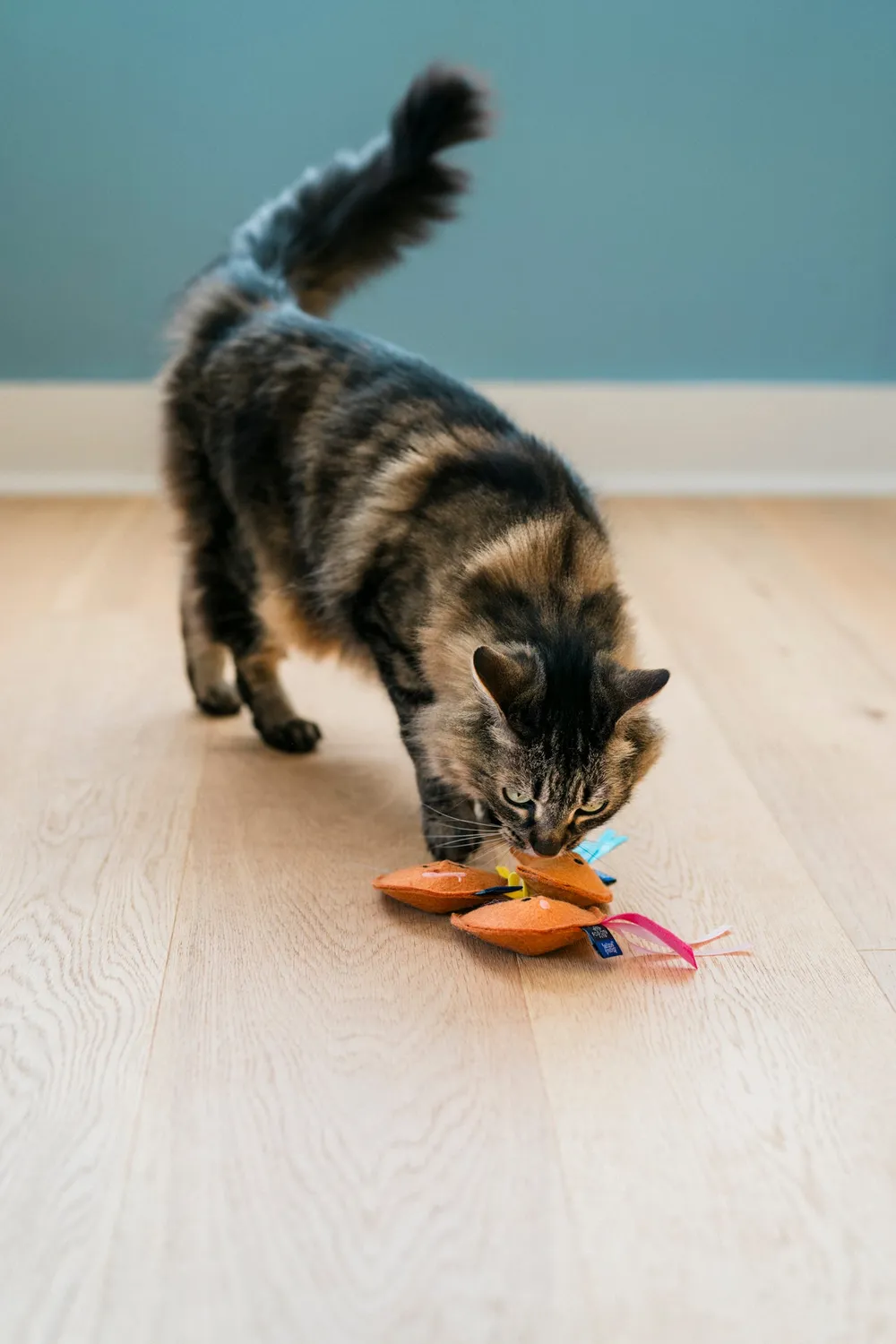 P.L.A.Y. Feline Frenzy Fortune Whiskers kattleksak kattmynta 3-pack