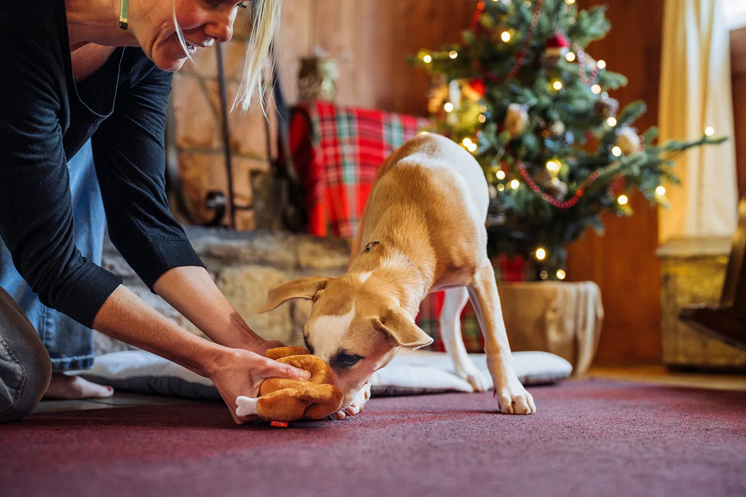 P.L.A.Y. Merry Minis Holiday Hound Turkey hundleksak pip