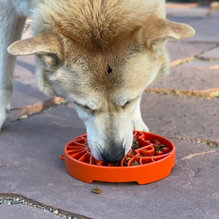 SodaPup Sun and Moon eTray slickmatta hund orange yin yang