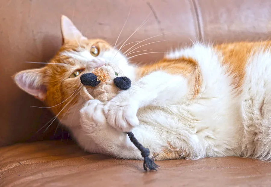 P.L.A.Y. Feline Frenzy Menacing Mice kattleksak kattmynta