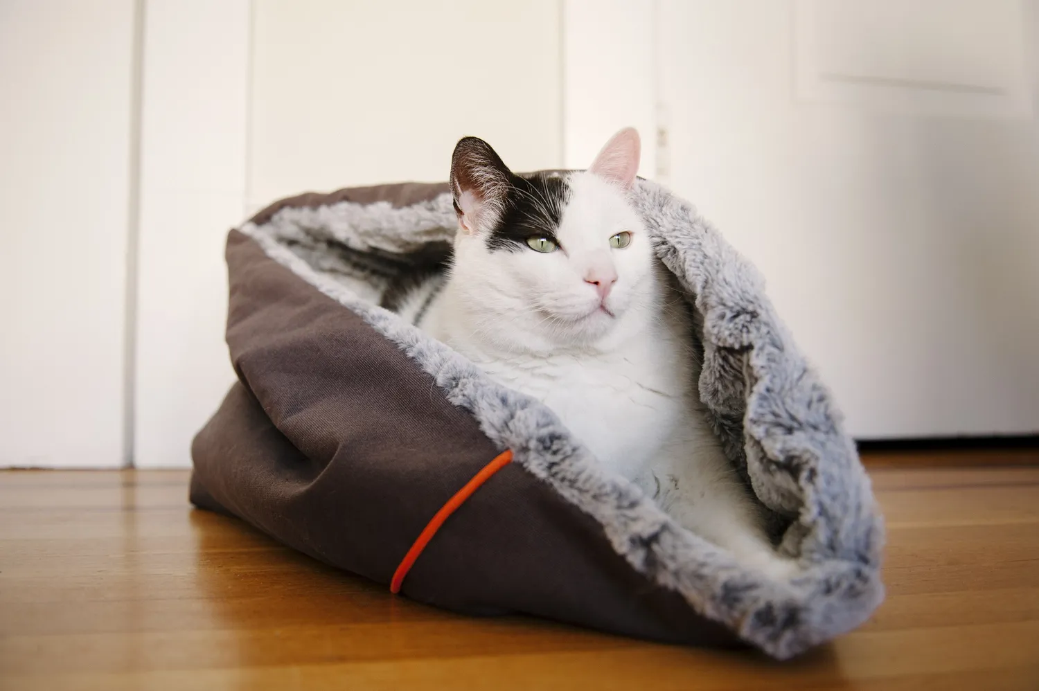 P.L.A.Y. Snuggle Bed hundbädd kattbädd mjuk bädd