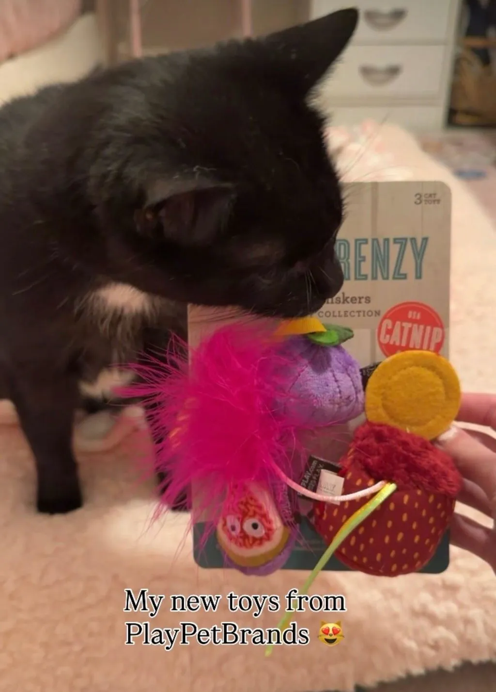 P.L.A.Y. Feline Frenzy Fig N Whiskers kattleksak 3-pack kattmynta