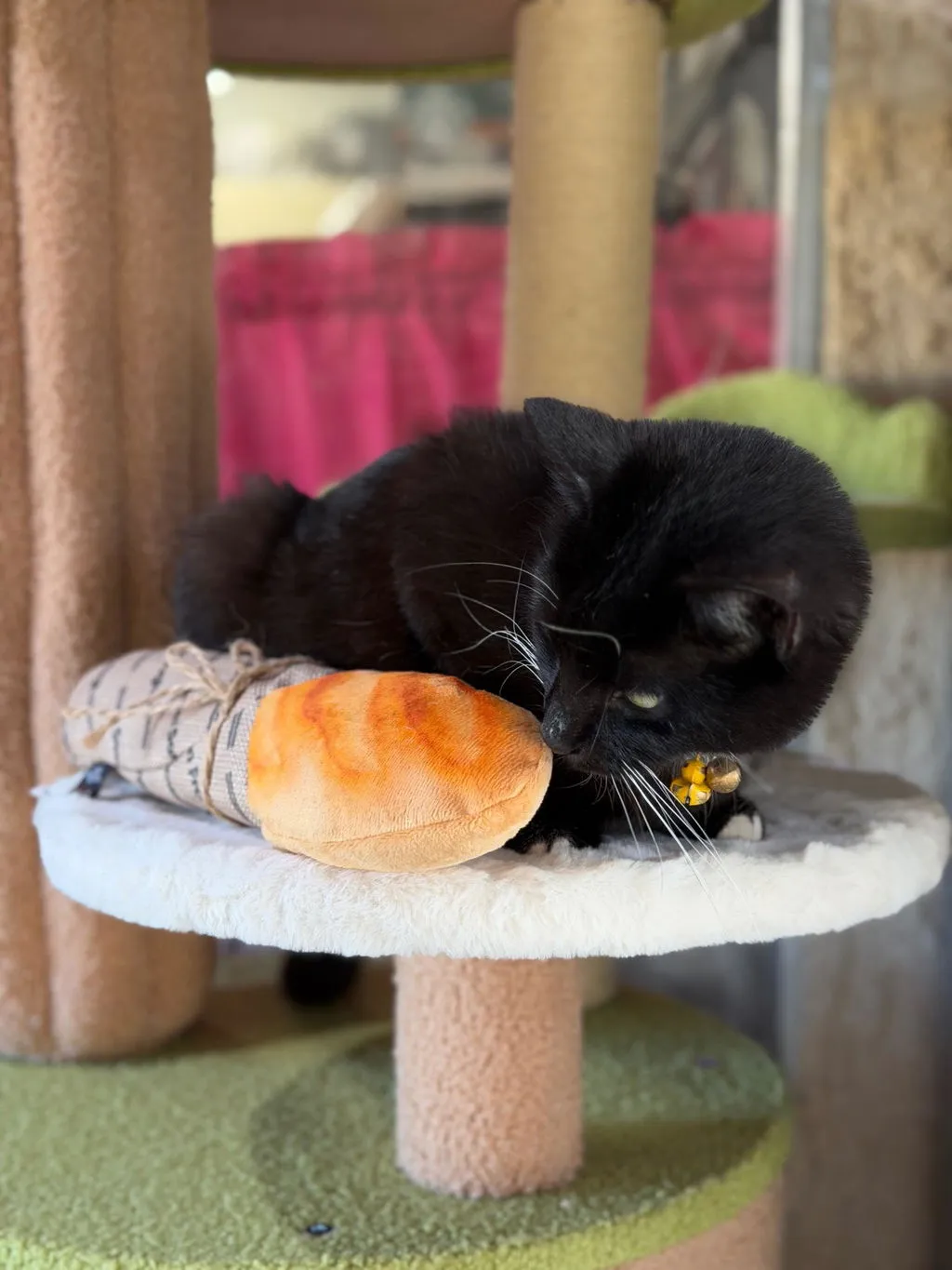 P.L.A.Y. Feline Frenzy Loaf Kicker kattleksak brun