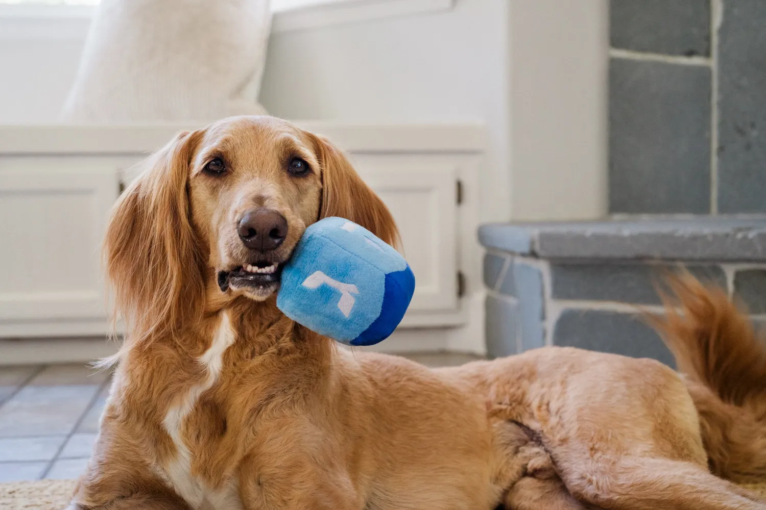 P.L.A.Y. Paw-nukkah hundleksaker 3-pack med pip
