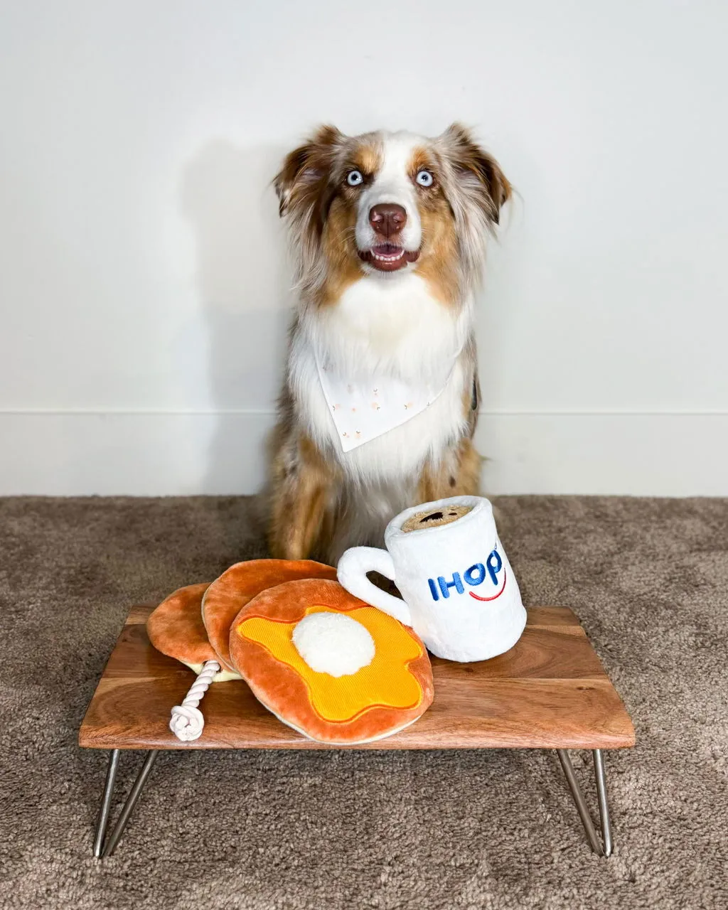 P.L.A.Y. IHOP Pancake Pup Stack hundleksak dragrep
