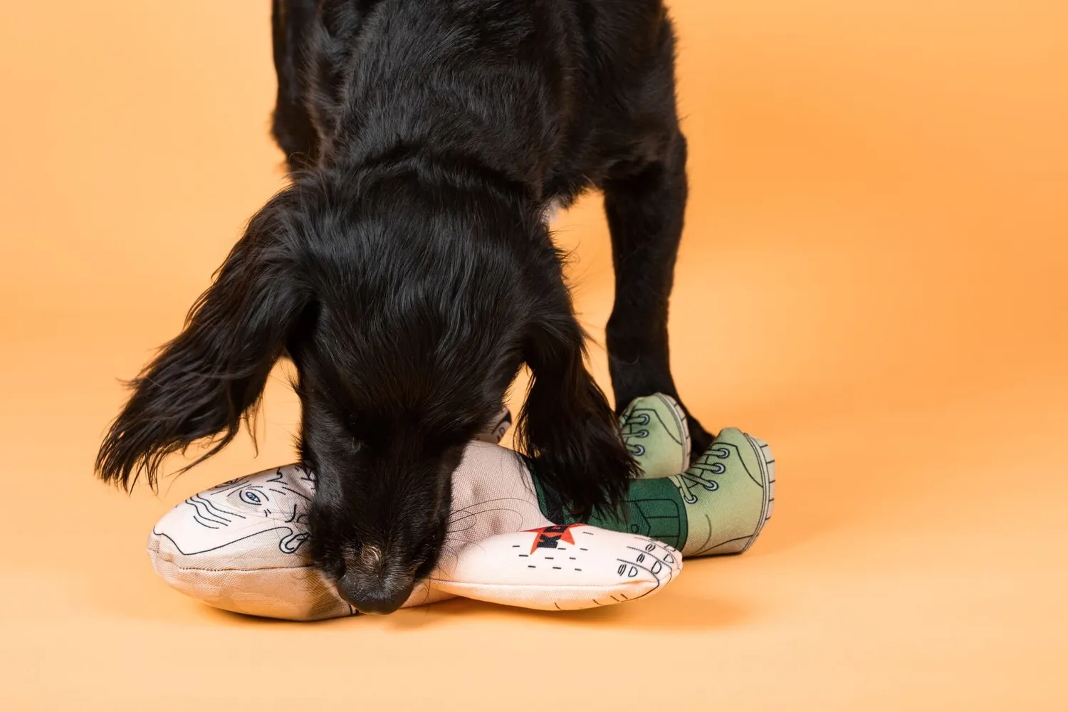 Pet Hates Toys Putin hundleksak med pip Regular