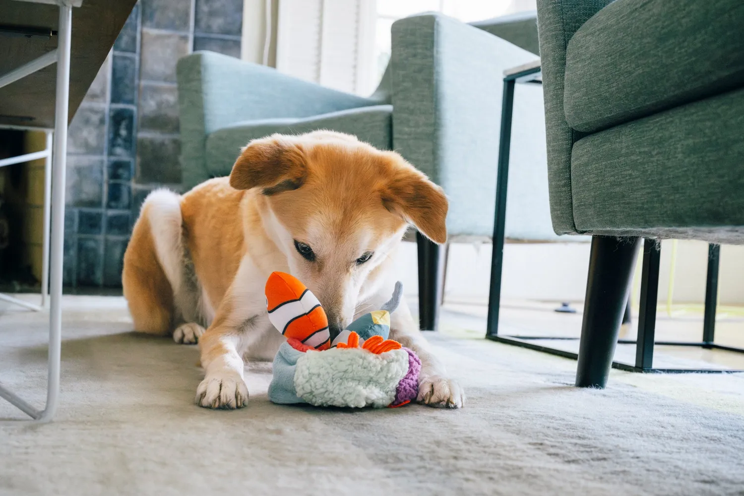P.L.A.Y. Ocean Buddies Reef Retreat hundleksak 3-delar med pip