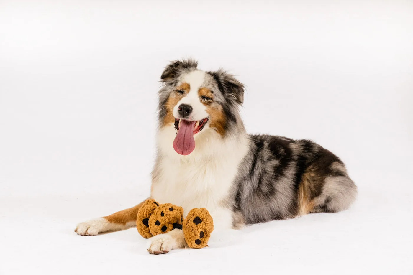 P.L.A.Y. Pup Cup Café Cookies n' Treats hundleksak rep