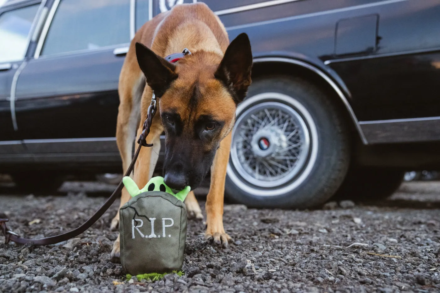 P.L.A.Y. Howling Haunts Ghoulish Grave hundleksak grå med pip