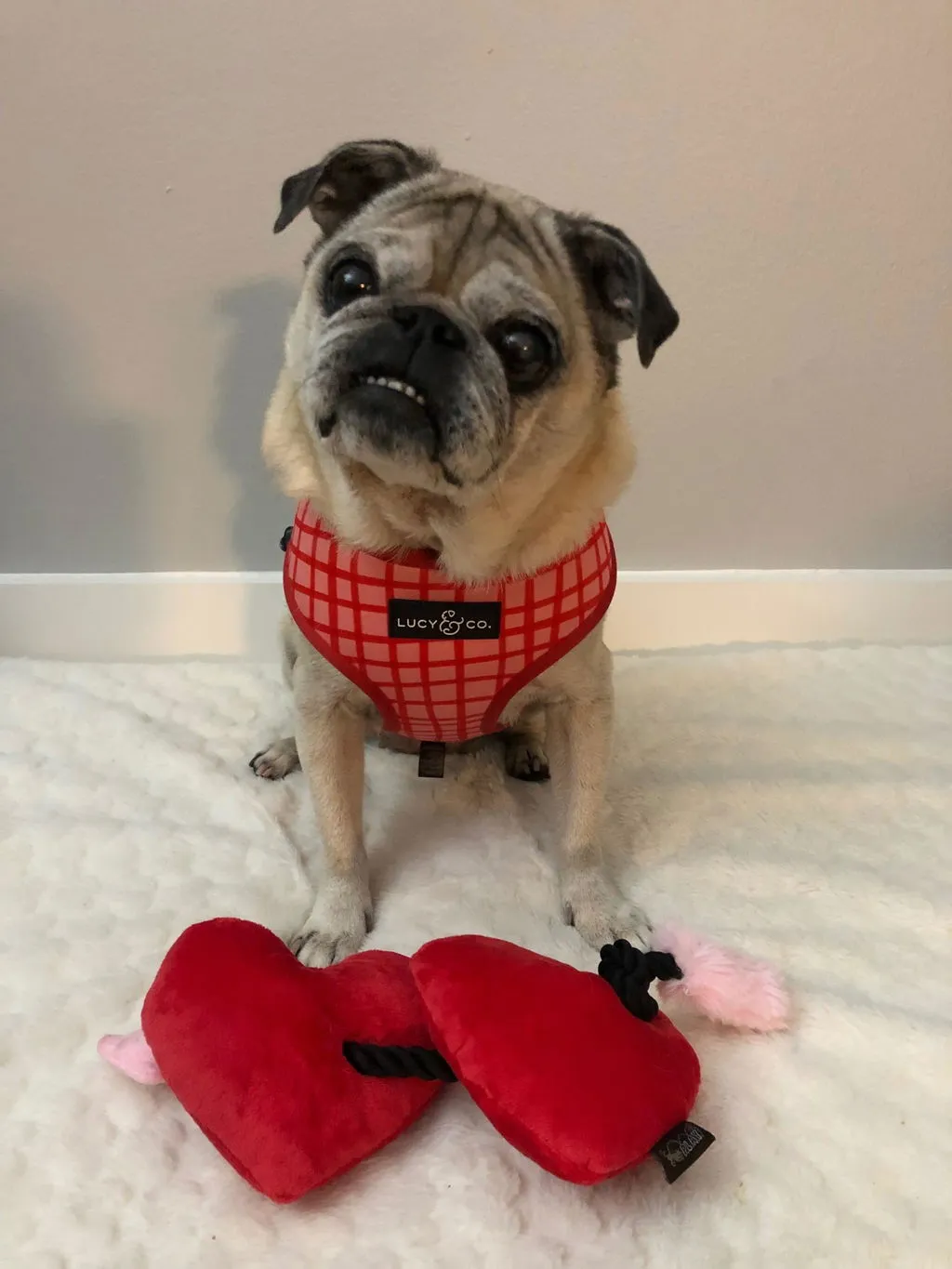 P.L.A.Y. Puppy Love Barking Bubbly hundleksak med pip