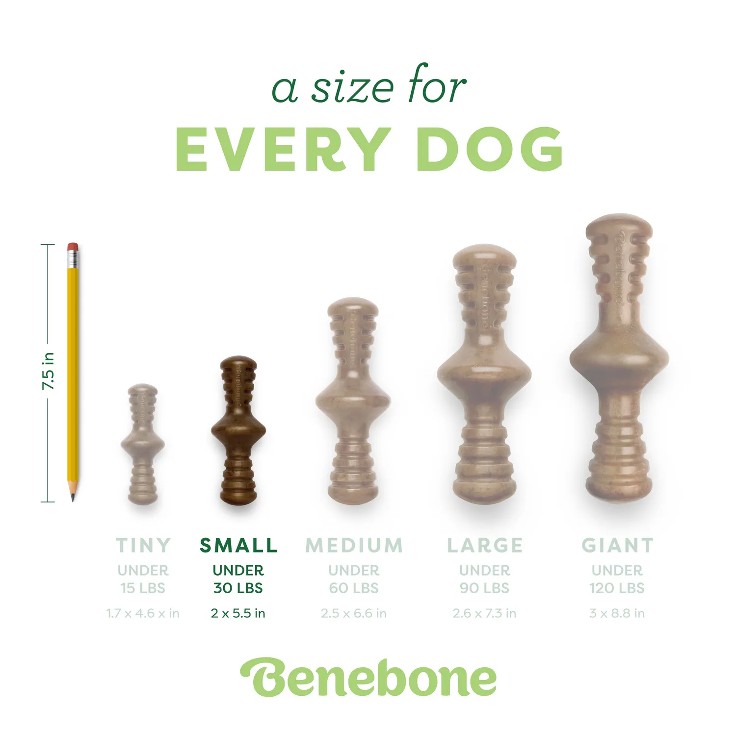 Benebone Zaggler tuggben medium bacon rullande