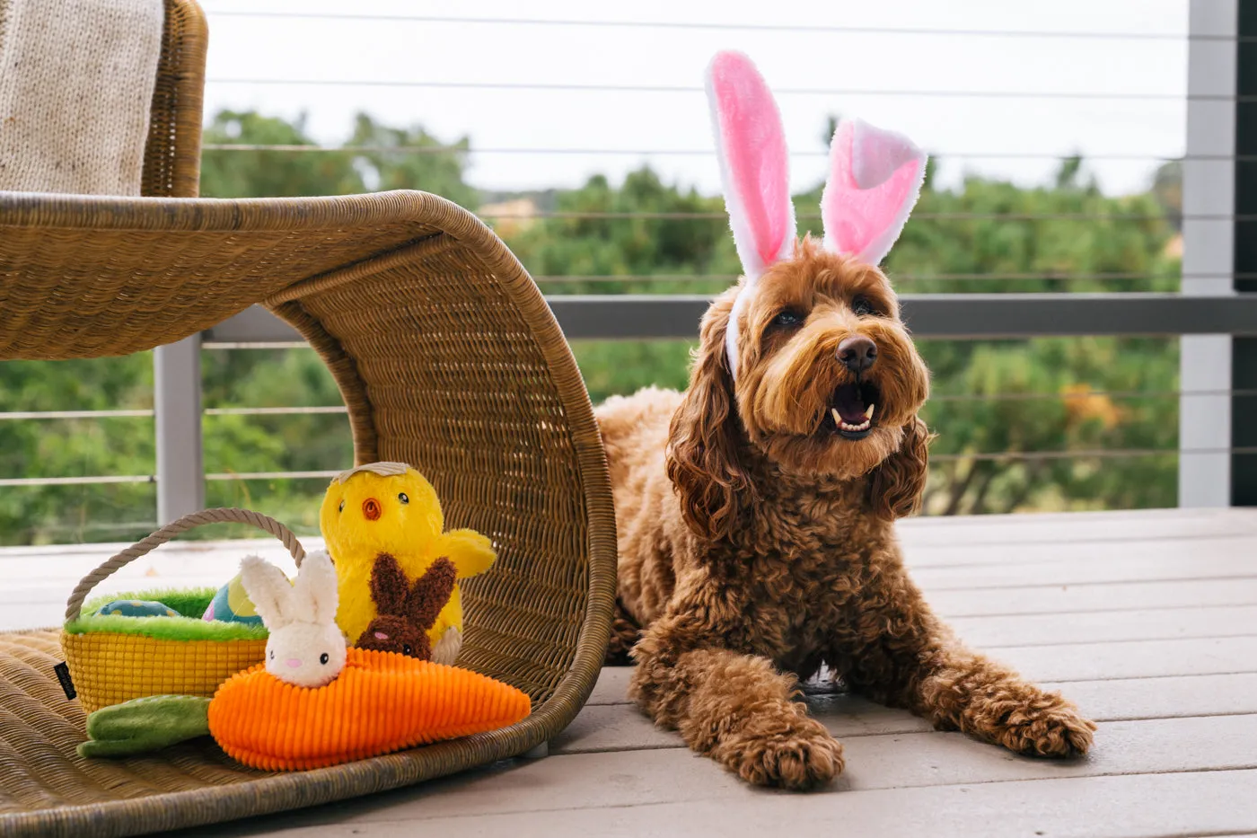 P.L.A.Y. Hippity Hoppity hundleksaksset mjuk 3-delar