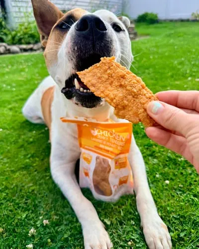 Spunky Pup Chicken Jerky Tenders hundgodis kyckling 12 oz