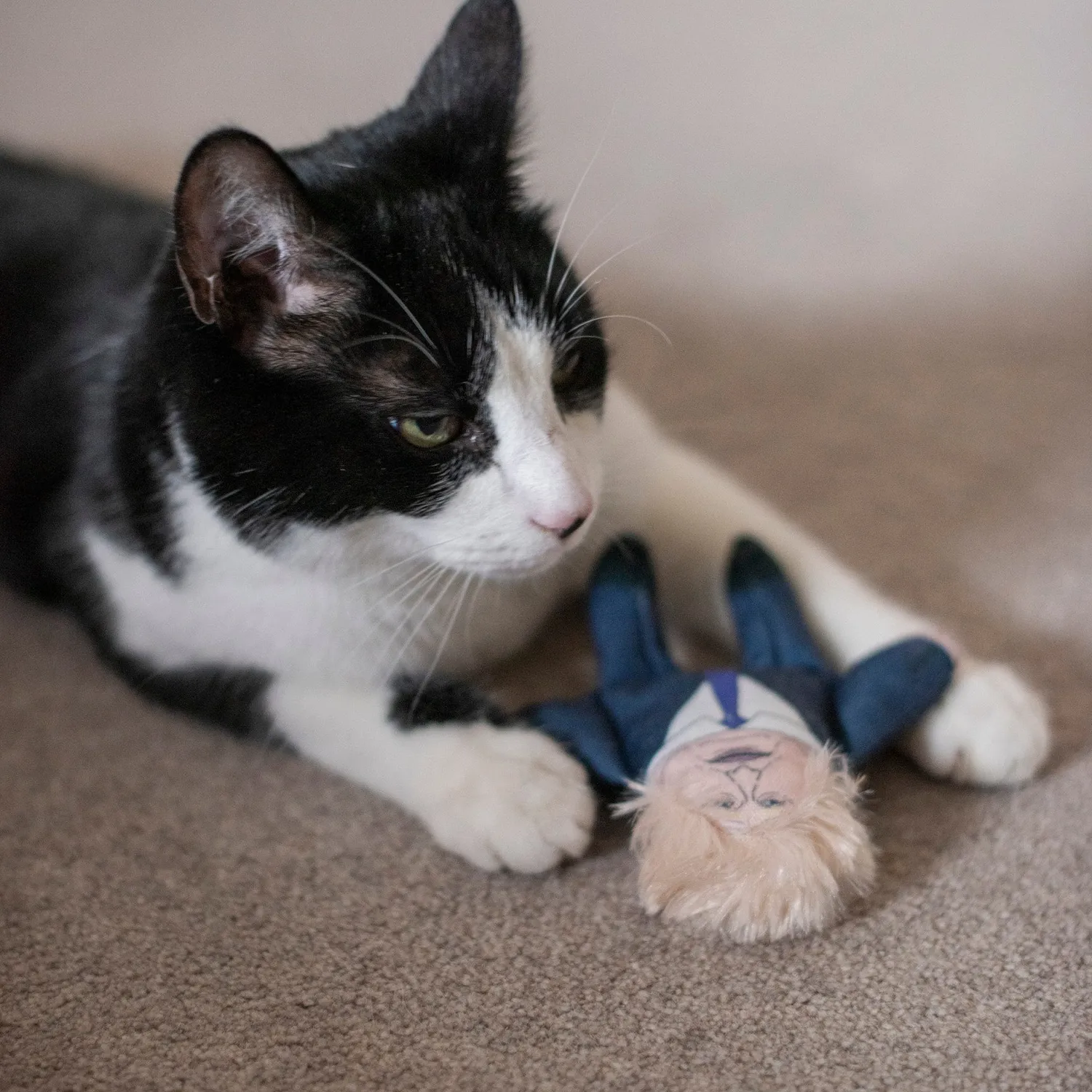 Pet Hates Toys Boris Donald leksaksset pip kattmynta