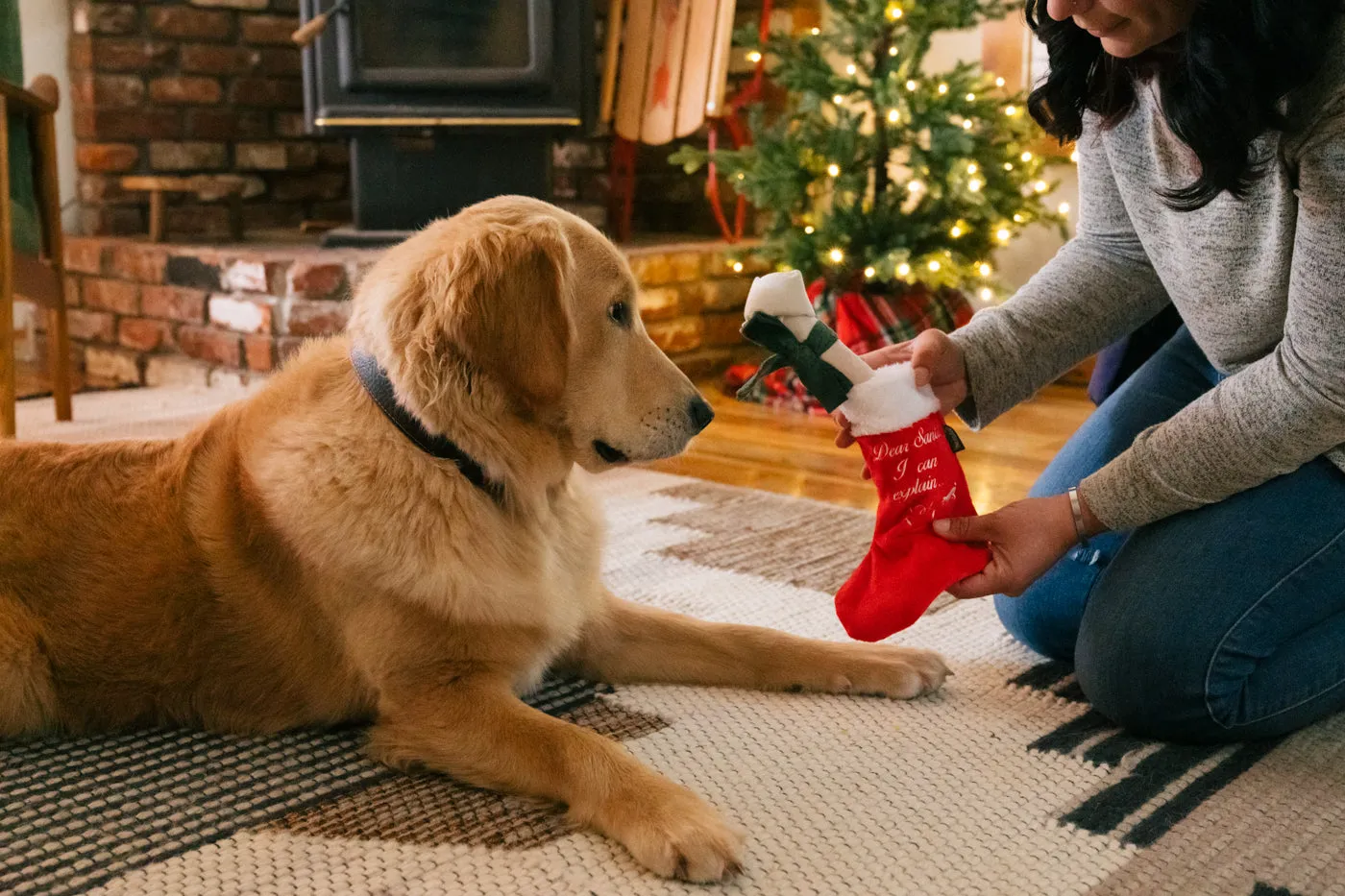 P.L.A.Y. Merry Woofmas Good Dog Stocking hundleksak strumpa prassel