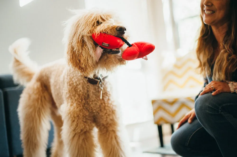 P.L.A.Y. Puppy Love Fur-ever Hearts hundleksak rep pip