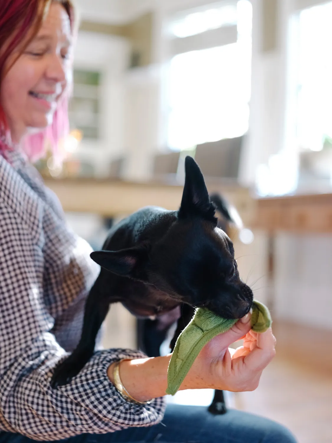 P.L.A.Y. Garden Fresh Peapod hundleksak med pip
