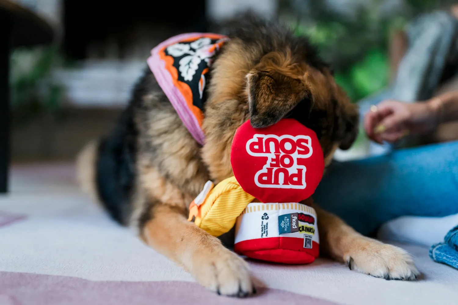 P.L.A.Y. Pup of Soup hundleksak prassel pip