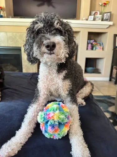Spunky Pup Stuffies mjukisleksak Tangle Regular med godisfack