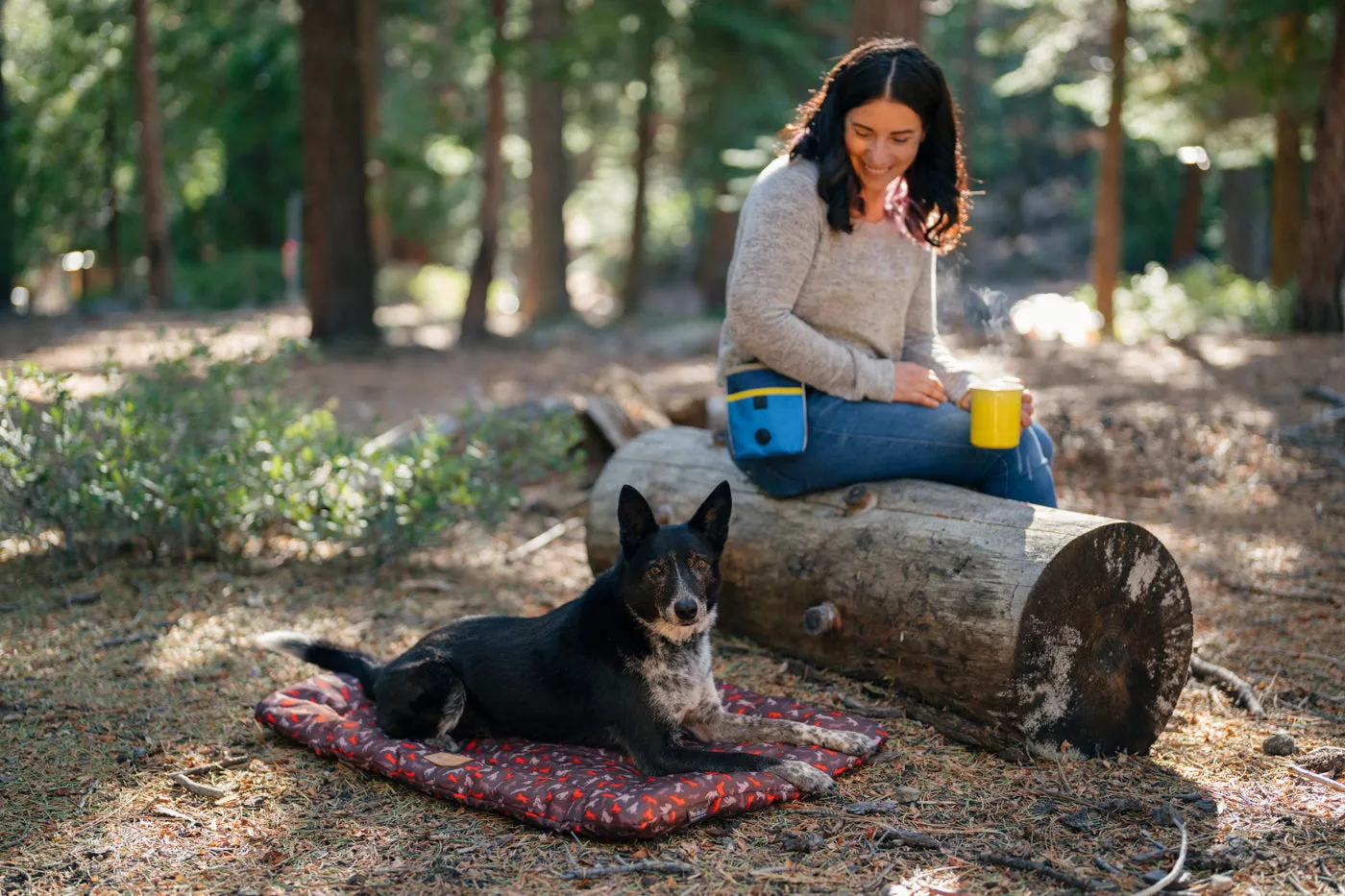 P.L.A.Y. Outdoor Chill Pad hundmatta vattenavvisande