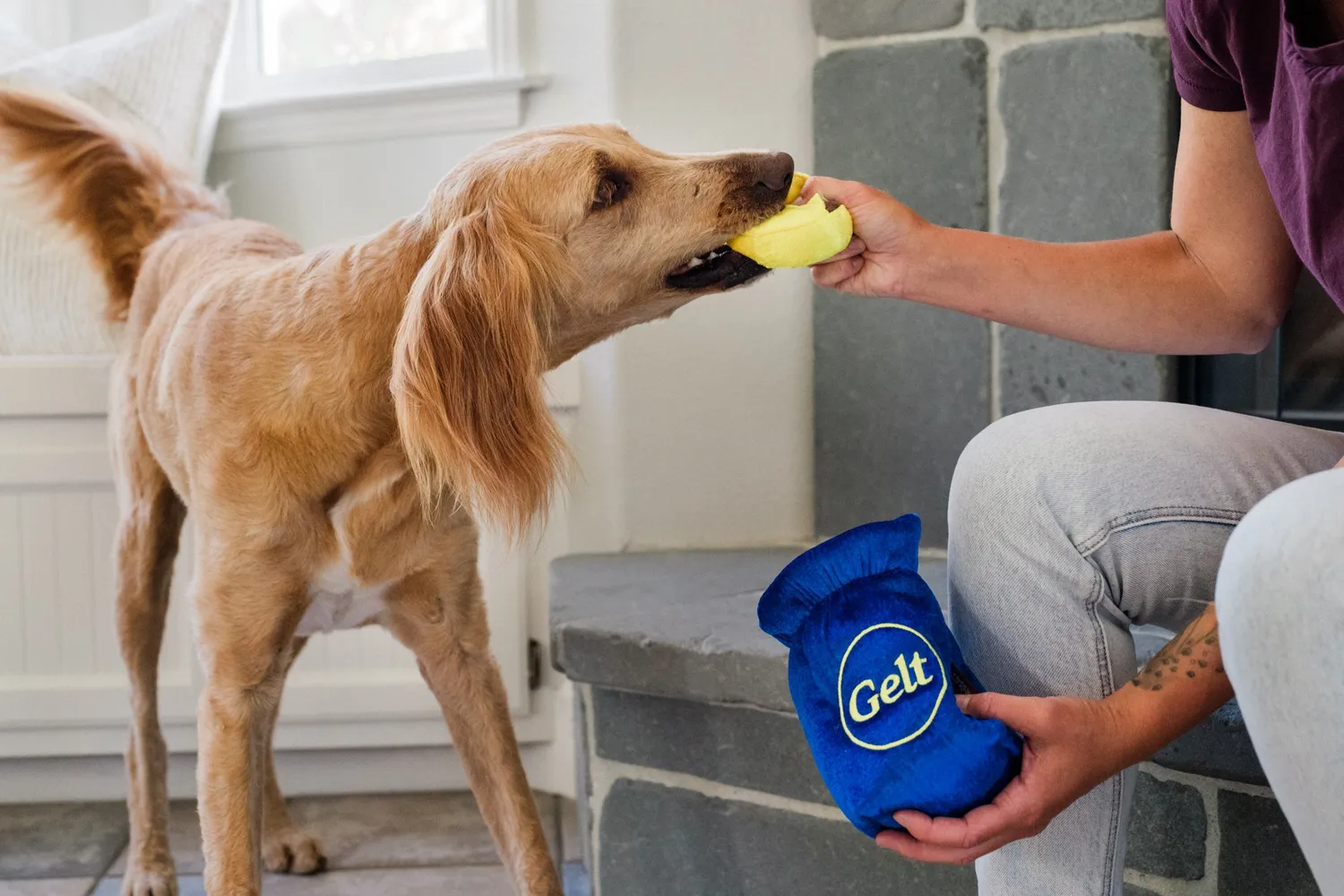 P.L.A.Y. Paw-nukkah Gelt-y Treats hundleksak med pip