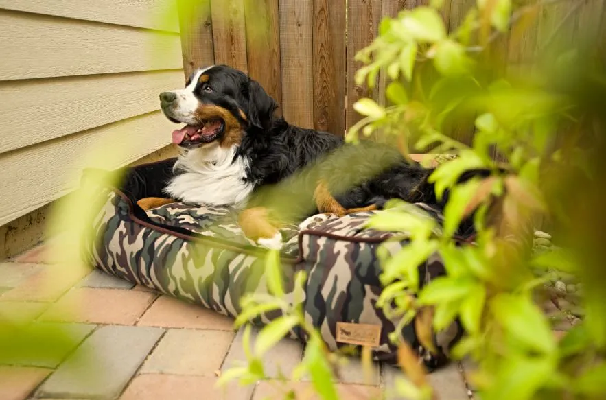 P.L.A.Y. Camouflage Lounge Bed hundsäng M tvättbar