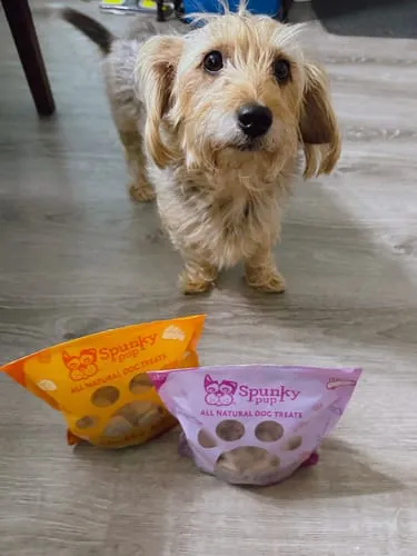 Spunky Pup All Natural Baked Biscuits hundkex Prime Rib 10 oz naturliga