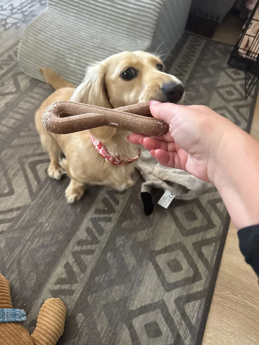 P.L.A.Y. Lumber Jax LickinLog tuggleksak stor trä