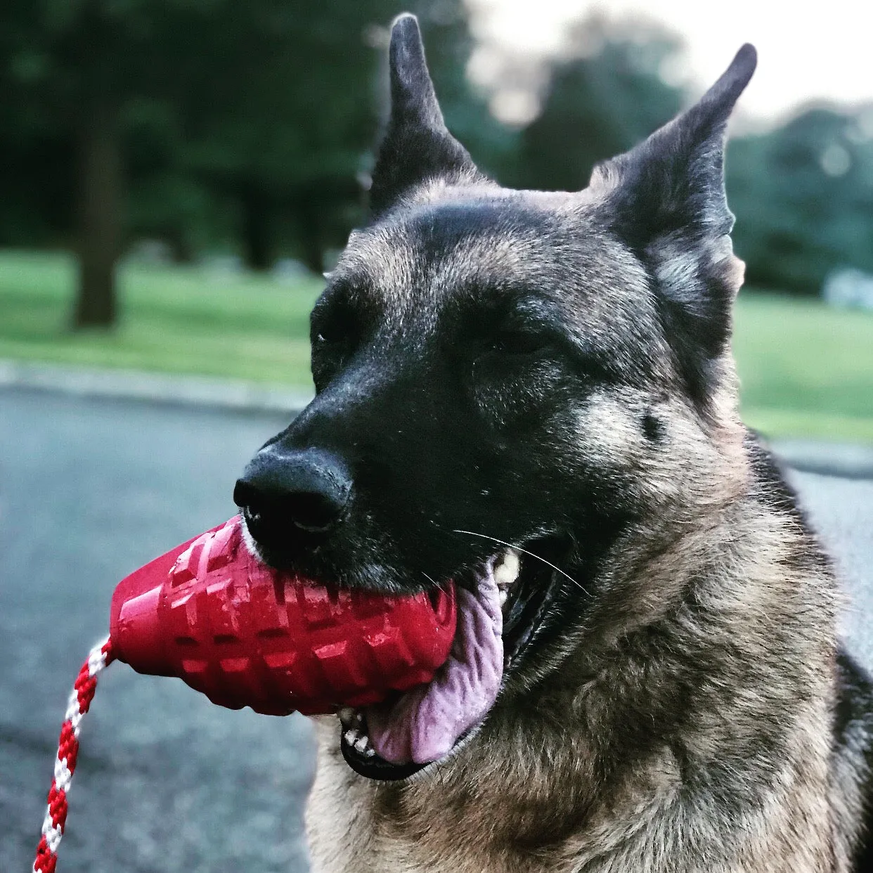 USA-K9 Granat hundleksak gummi large armégrön