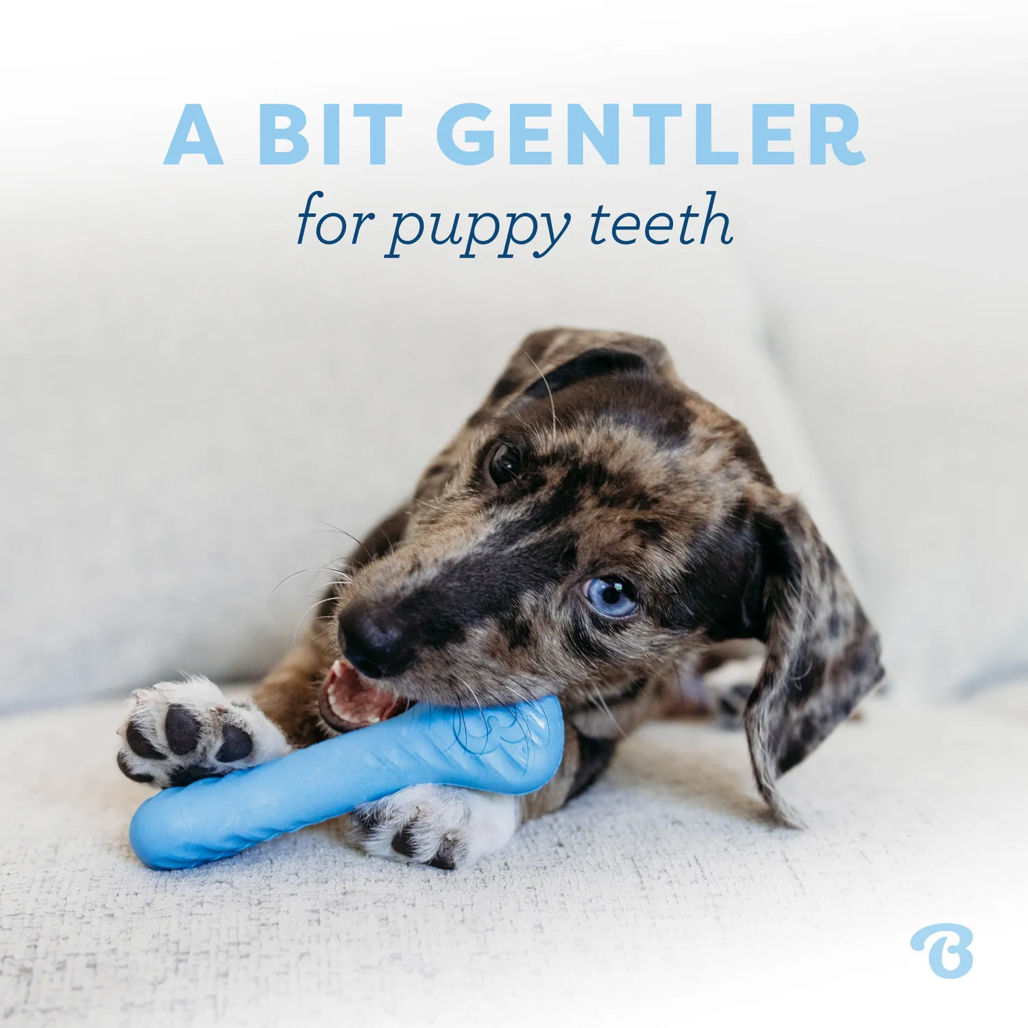 Benebone Puppy Bone tuggben tiny gummi