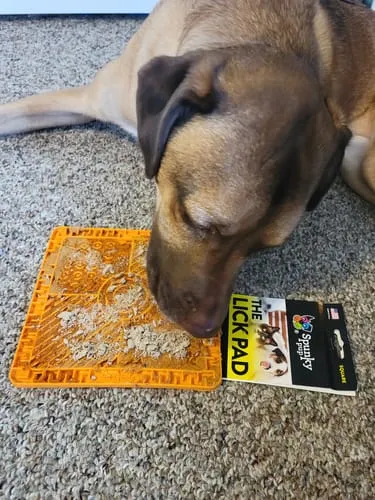 Spunky Pup Lick Pads slickmatta Square orange
