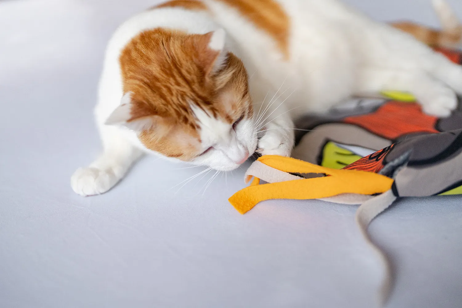 P.L.A.Y. Feline Frenzy Purrfect Playtime kattmatta med kattmynta