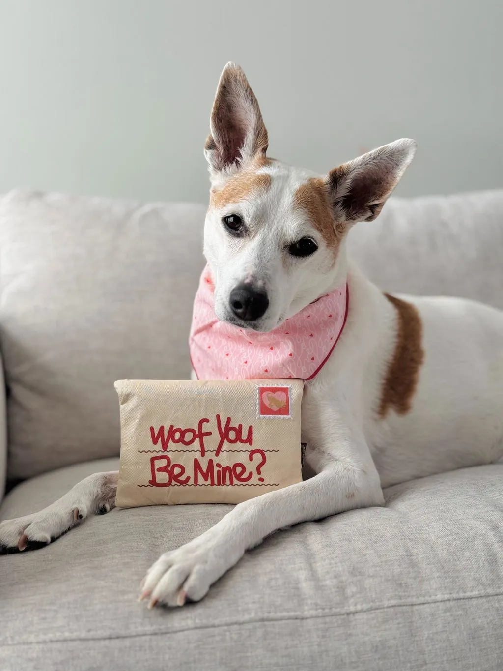 P.L.A.Y. Love Bug Ruv Letter hundleksak brev med pip