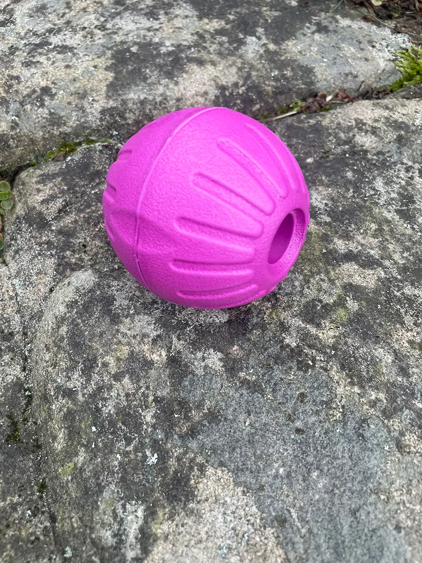 NewDog Foamboll hexaband hundboll 7 cm flytande