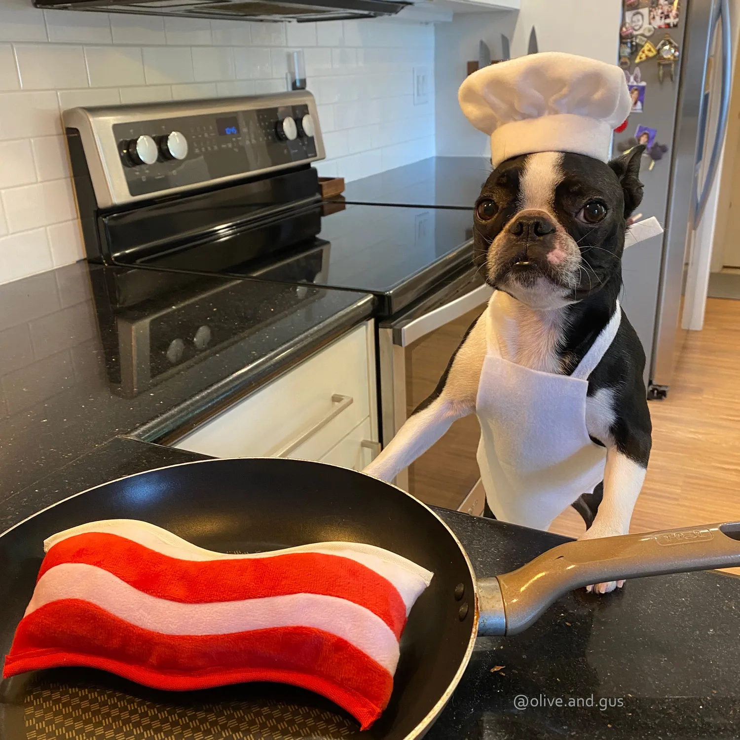 P.L.A.Y. Clive & Bacon Crispy Bacon hundleksak mjuk med prassel